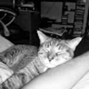 Meet your Posher, Jeff